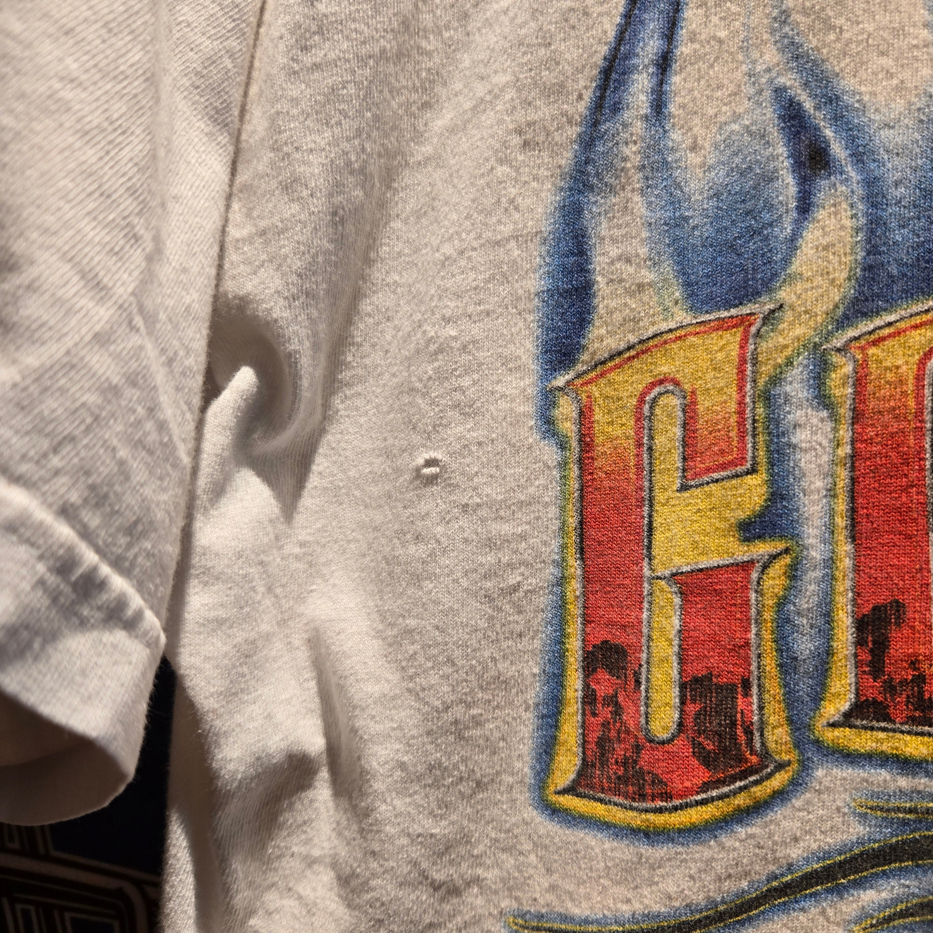 VTG Jeff Gordon Flames Pocket Graphic Double Sided: Large