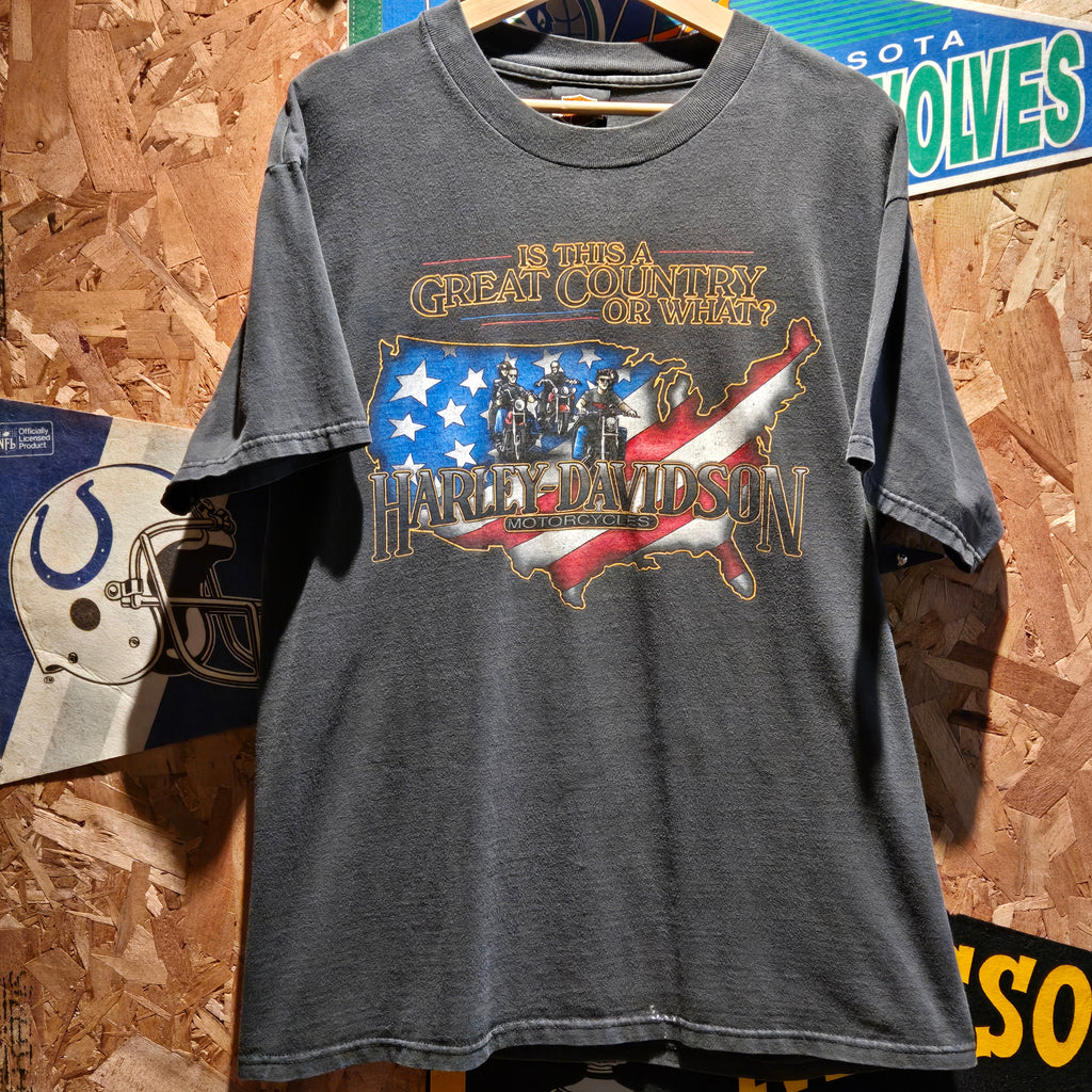 VTG 1996 Harley Davidson United States Eagle Shark Black T-Shirt: Medium