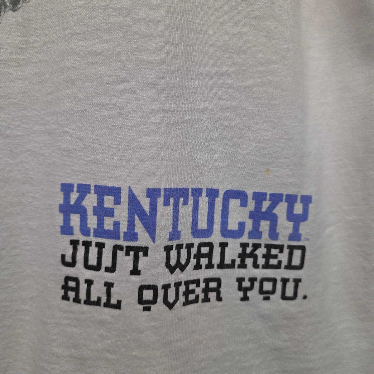 VTG University Of Kentucky Wildcats Basketball Just Walked All Over You: Medium