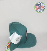 Load image into Gallery viewer, Woolrich Dogfish Beer Green USA Snapback Hat
