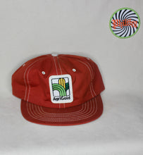 Load image into Gallery viewer, Vintage AgriGold Farmer Patch Swingster Snapback Hat
