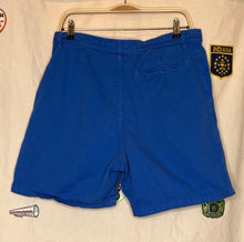 Load image into Gallery viewer, Quiksilver Blue Surf Shorts: 34
