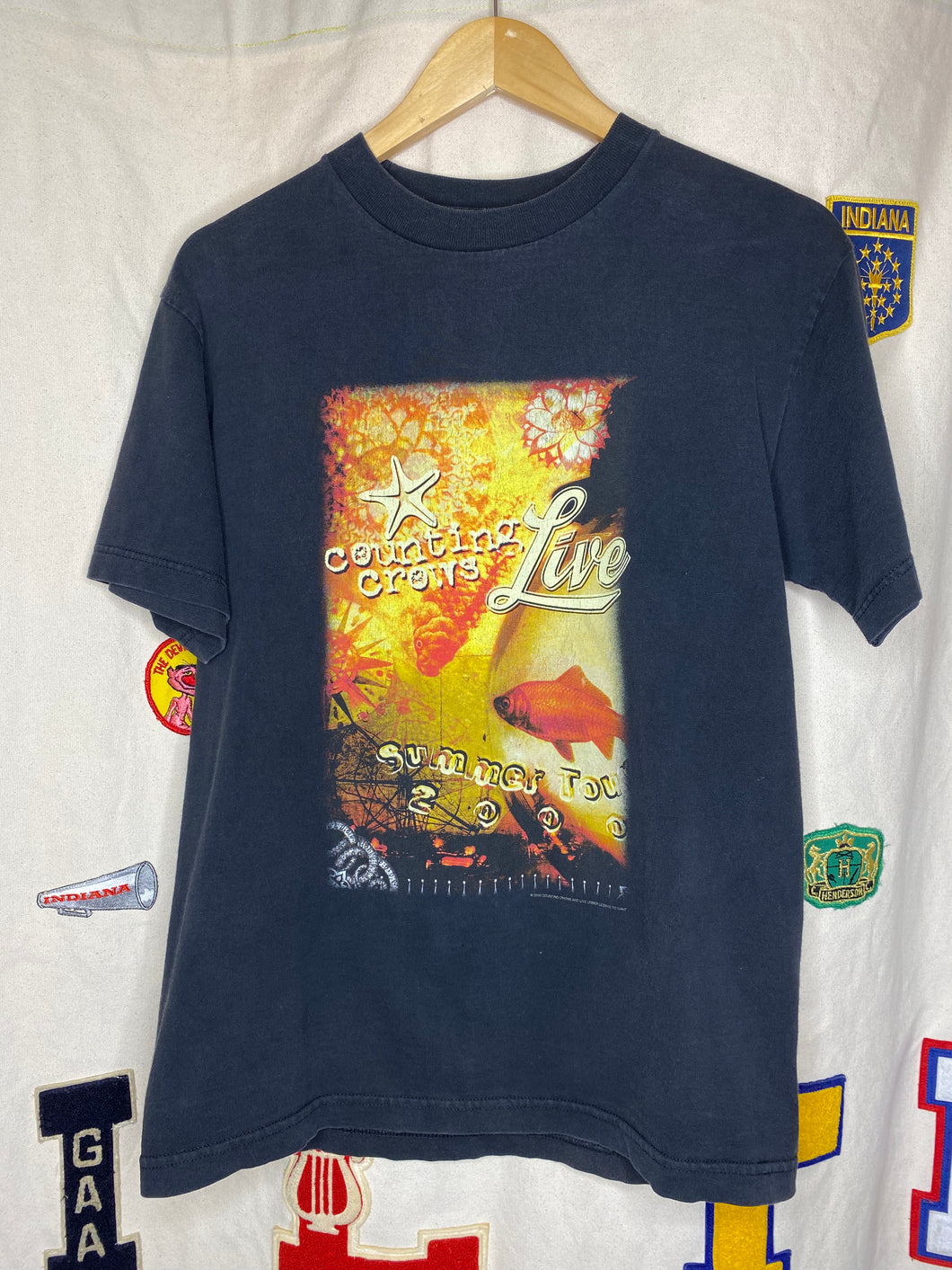 Vintage Counting Crows Tour T-Shirt : Medium